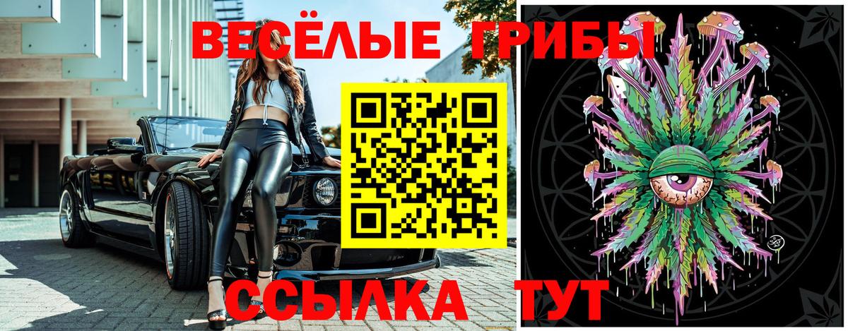 Скопин  Псилоцибиновые грибы Cubensis  Псилоцибиновые грибы мухоморы  Вход с VPN 